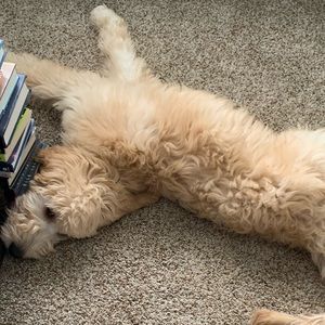 Meet your Posher, Norah